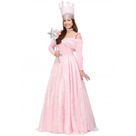 Deluxe Plus Size Pink Witch Dress Costume Promotions
