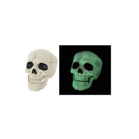  Glow in the Dark Skull Halloween Decoration Promotions