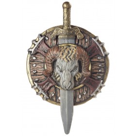 Barbarian Combat Shield and Sword Promotions