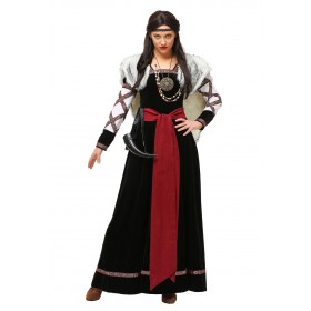 Women's Plus Size Dark Viking Dress Costume Promotions