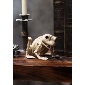 Skeleton Frog Decoration Promotions