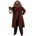 Deluxe Harry Potter Hagrid Plus Size Costume Promotions - 2