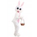 Adult Plus Size Mascot Easter Bunny Costume Promotions - 2