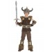 Viking Boy Costume Promotions - 0