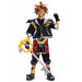 Kingdom Hearts Sora Deluxe Teen Costume Promotions - 0