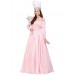 Deluxe Plus Size Pink Witch Dress Costume Promotions - 0