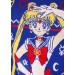 Adult Sailor Moon Fair Isle Ugly Christmas Sweater Promotions - 5