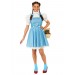 Wizard of Oz Dorothy Teen Costume Promotions - 0