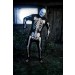 Adult Skeleton Jumpsuit Costume Promotions - 1