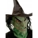 Adult Wicked Witch Mask Promotions - 1