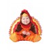 Lil' Gobbler Costume for Infants Promotions - 0