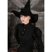 Women's Plus Size Witch Costume Promotions - 2
