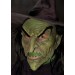 Adult Wicked Witch Mask Promotions - 0
