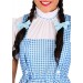 Wizard of Oz Dorothy Teen Costume Promotions - 2