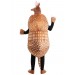Armadillo Costume for Adults - Men's - 1