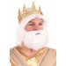 Adult King Neptune Wig and Beard Set Promotions - 0